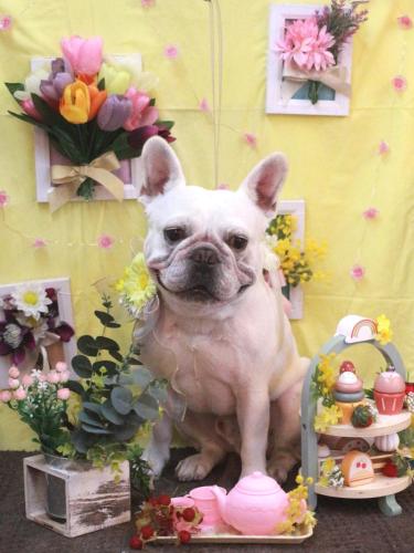 20230314ブーくん